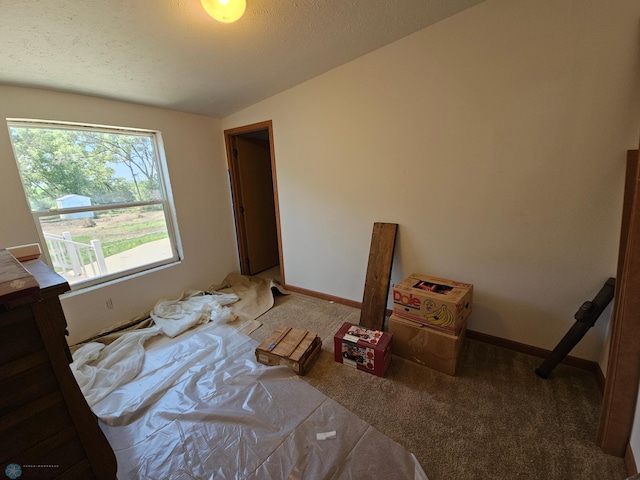 bedroom featuring vaulted ceiling, carpet, and a textured ceiling