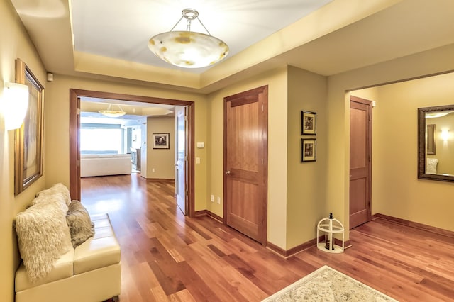 hallway featuring hardwood / wood-style floors and a tray ceiling