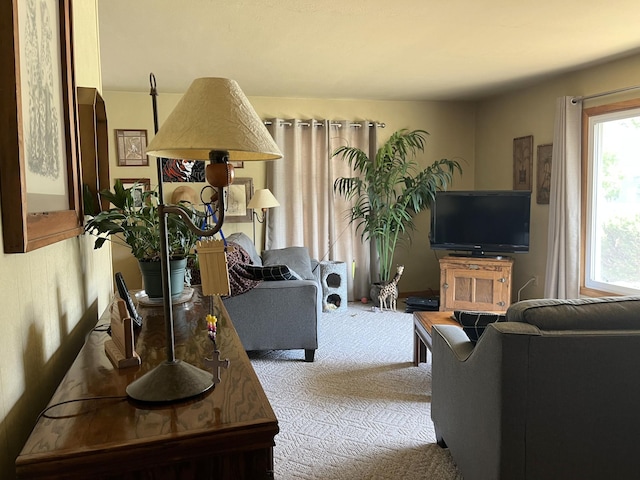 living room with carpet flooring