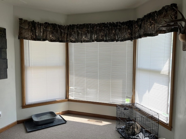 interior space featuring visible vents, baseboards, and carpet floors