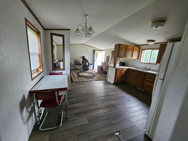 kitchen with sink, vaulted ceiling, hanging light fixtures, dark hardwood / wood-style floors, and white fridge