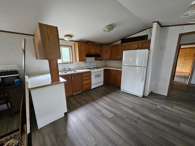 kitchen featuring lofted ceiling, sink, white appliances, dark wood-type flooring, and ornamental molding