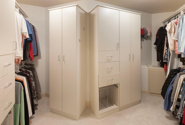 spacious closet featuring light colored carpet