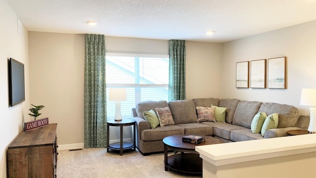 1634 Oak Creek Dr, Chaska, MN 55318 - living room with light carpet and baseboards
