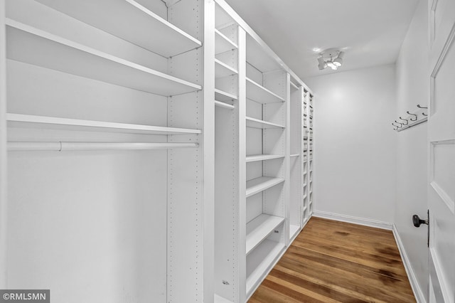 walk in closet featuring hardwood / wood-style floors