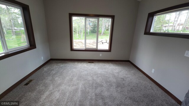 carpeted empty room featuring plenty of natural light