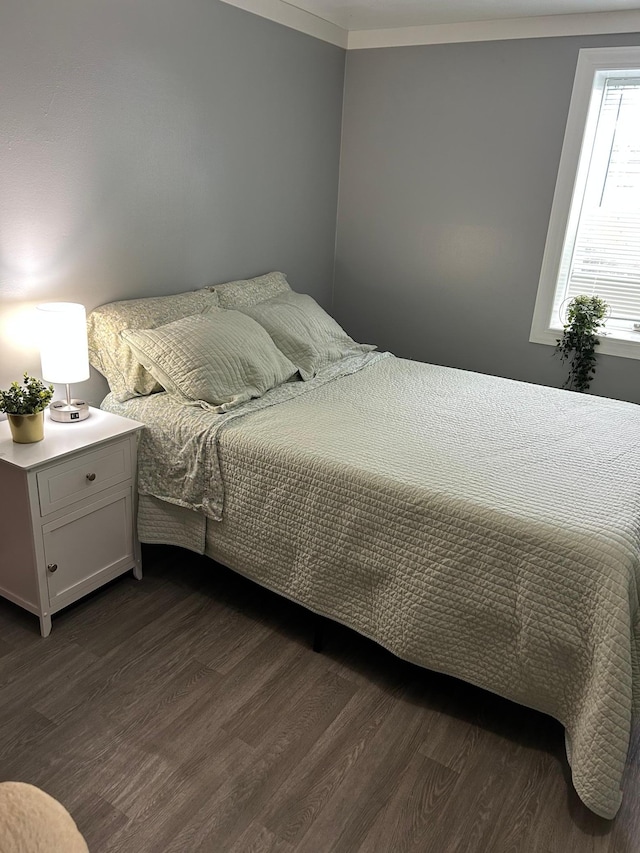 bedroom featuring dark wood finished floors