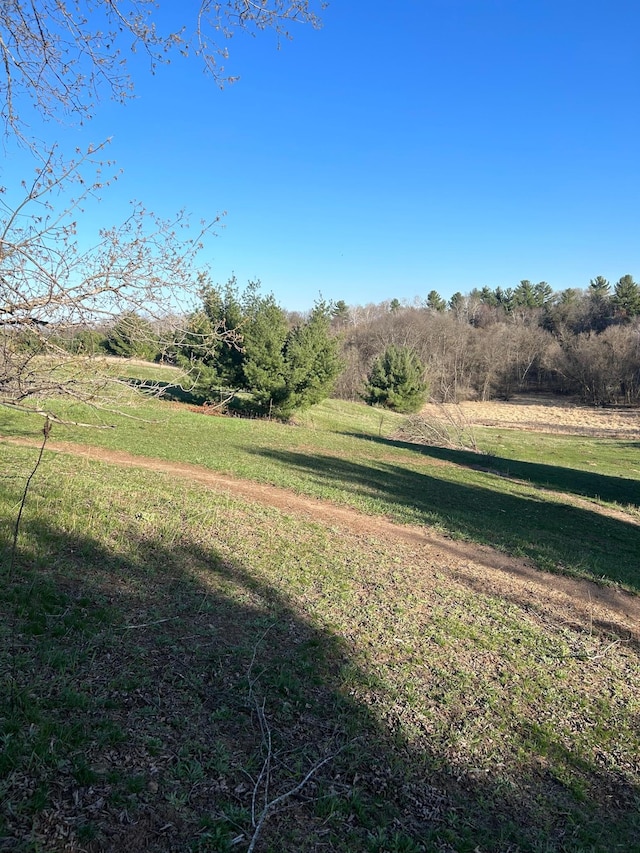 view of yard with a rural view