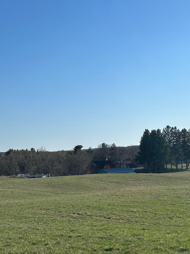 view of yard with a rural view