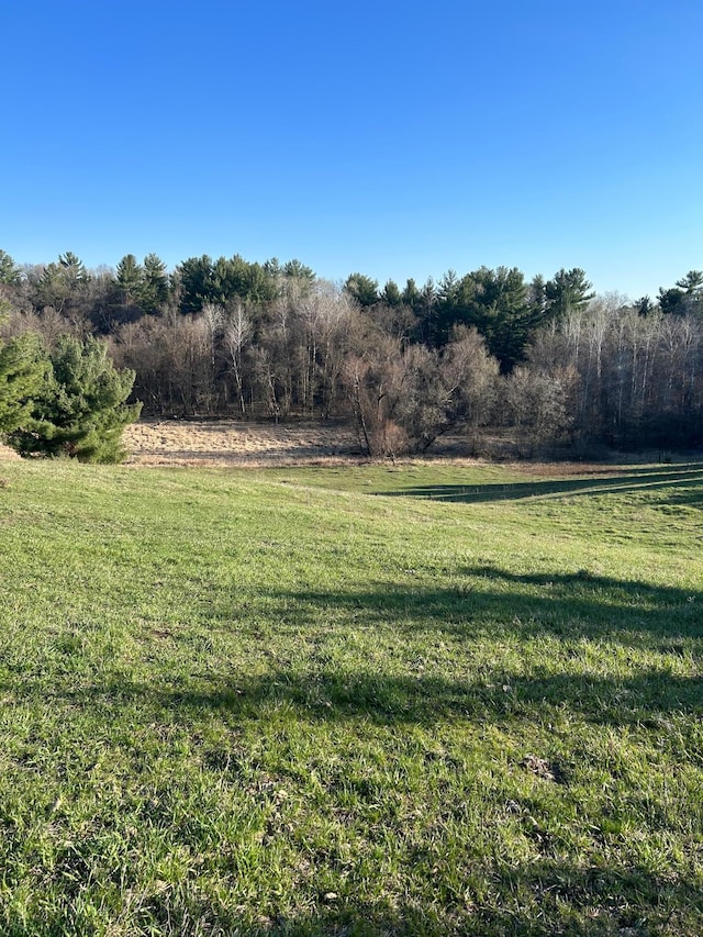 view of yard with a rural view