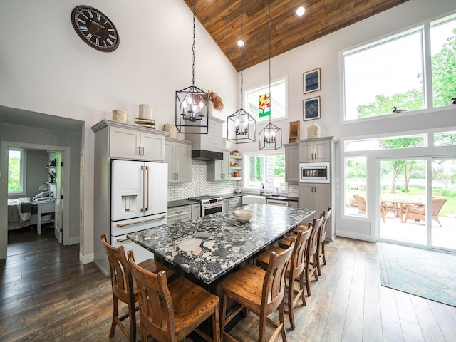 interior space featuring gray cabinets, plenty of natural light, high end appliances, and high vaulted ceiling