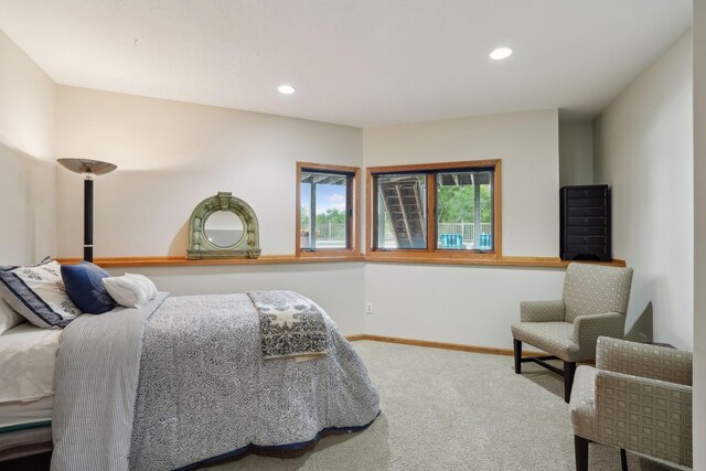 bedroom with carpet