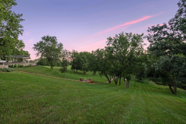 view of yard at dusk