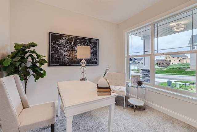 home office with carpet floors