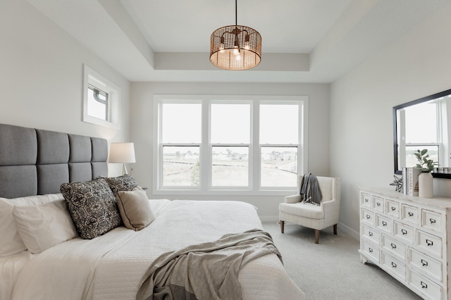 bedroom featuring carpet floors, baseboards, and a raised ceiling