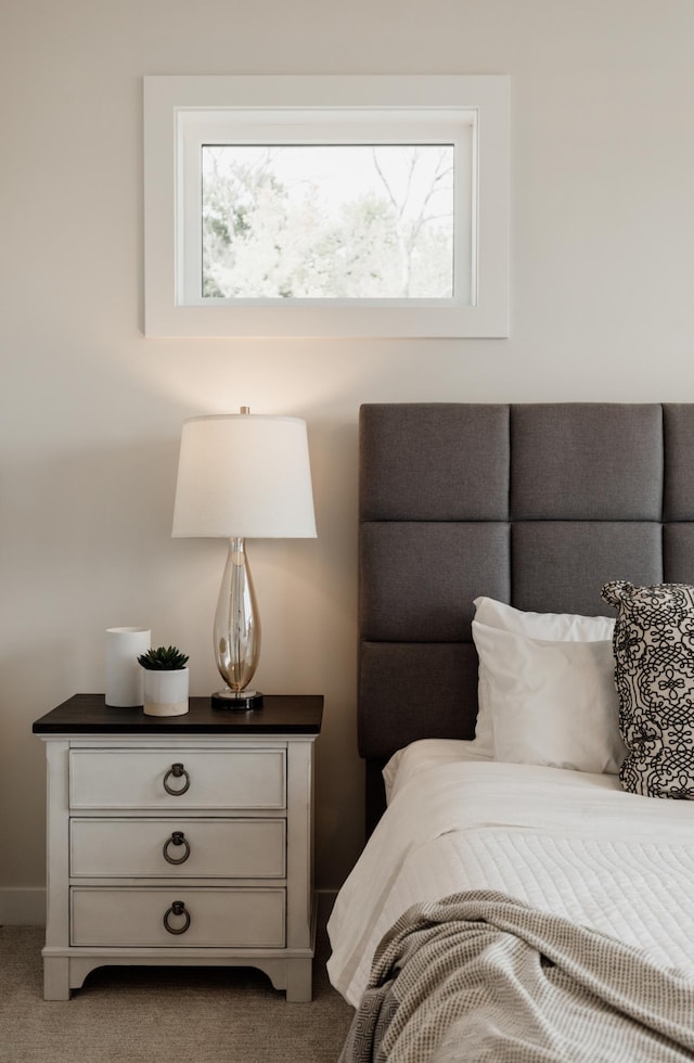 carpeted bedroom with multiple windows