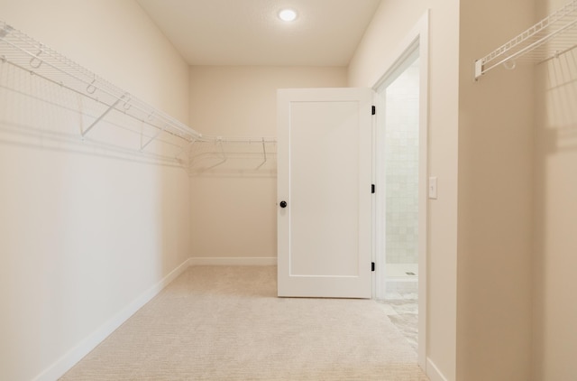 walk in closet with light colored carpet