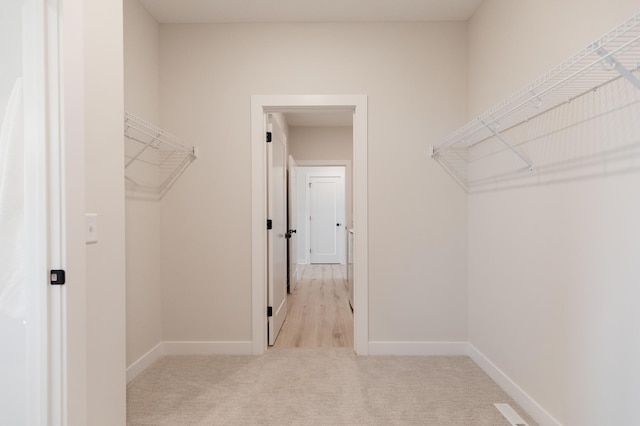 spacious closet featuring carpet floors