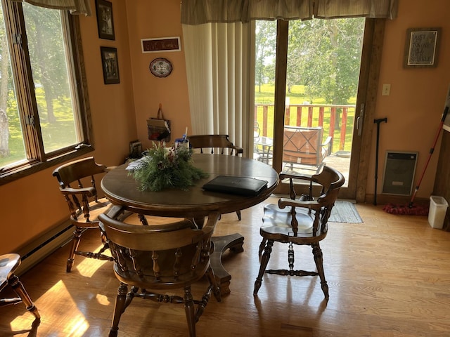 dining room with light hardwood / wood-style flooring