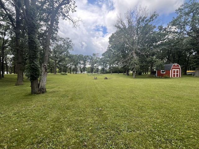 view of yard featuring a storage unit