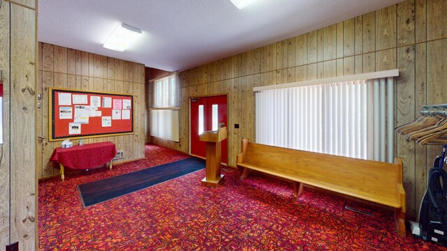 interior space featuring wooden walls and dark colored carpet