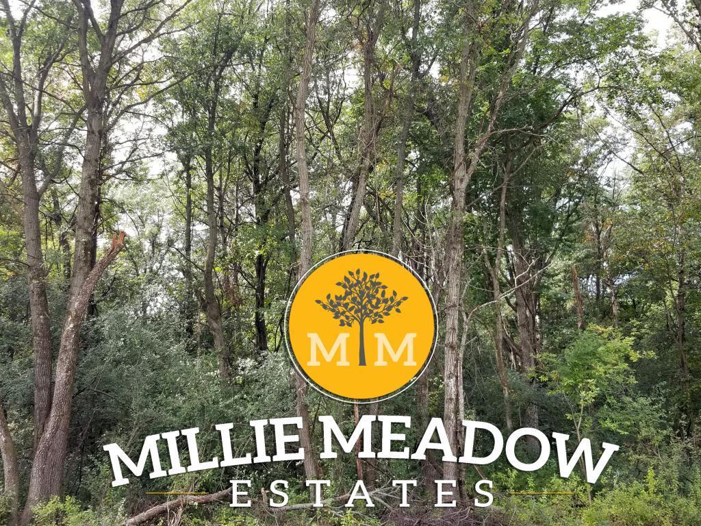 4009 Millie Meadow Dr SW, Rochester, MN 55902 - photo 1