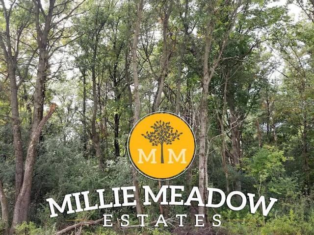 3541 Millie Rd SW, Rochester MN, 55902 land for sale