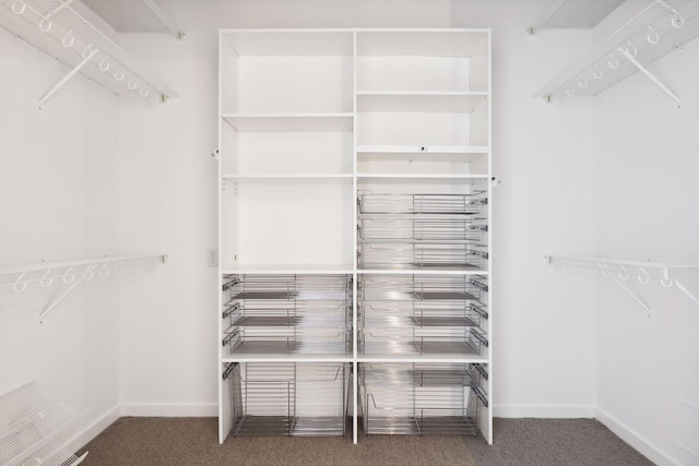 spacious closet featuring carpet flooring