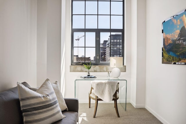 sitting room featuring light carpet