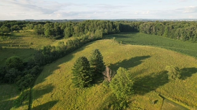 PTLOT1CSM2811 Amber View St, Menomonie, WI 54751 - photo 13