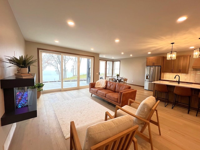 living room featuring light hardwood / wood-style flooring