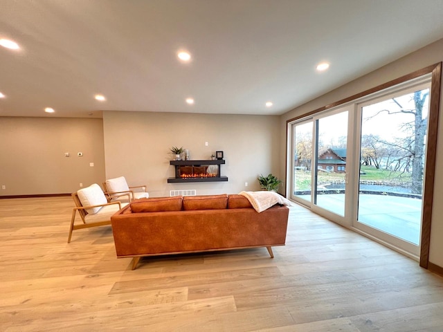 living room featuring light hardwood / wood-style flooring