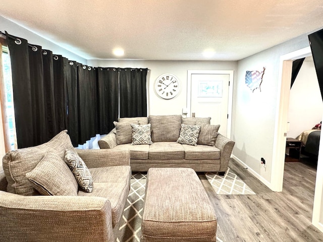 living room featuring a textured ceiling and wood-type flooring