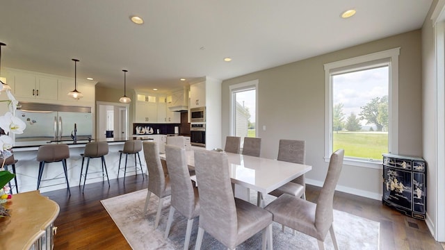 dining area featuring plenty of natural light and dark hardwood / wood-style floors