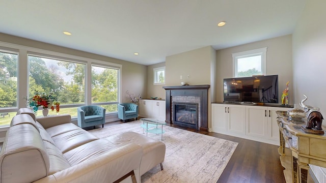 living room with dark wood-type flooring