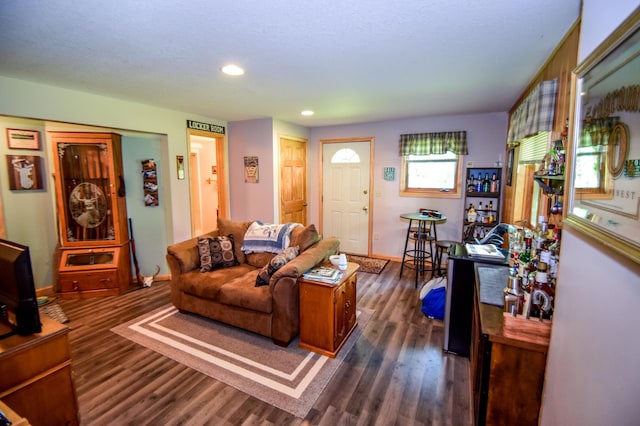 living room featuring dark hardwood / wood-style floors