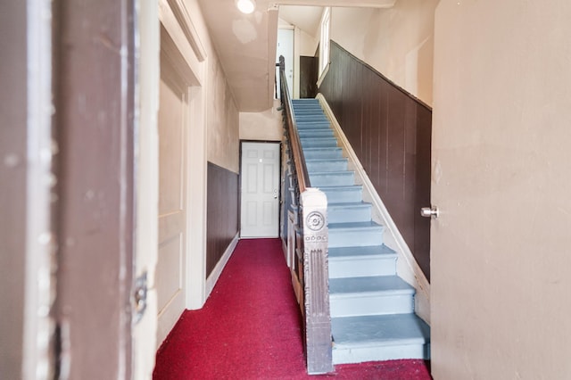 staircase with carpet