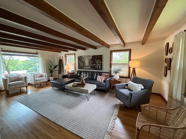 1324 Ridgeview Dr, Montevideo, MN 56265 - living room featuring plenty of natural light, wood finished floors, and beam ceiling