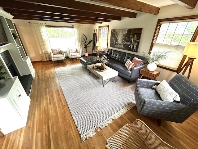 1324 Ridgeview Dr, Montevideo, MN 56265 - living area featuring plenty of natural light, beam ceiling, and wood finished floors