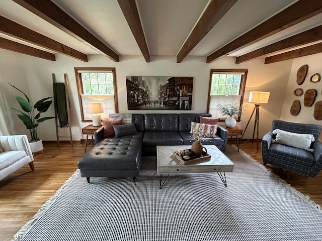 1324 Ridgeview Dr, Montevideo, MN 56265 - living room featuring plenty of natural light and wood finished floors