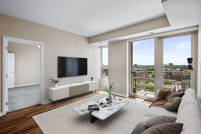 living room with dark hardwood / wood-style flooring