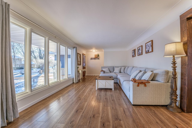 living room with hardwood / wood-style floors