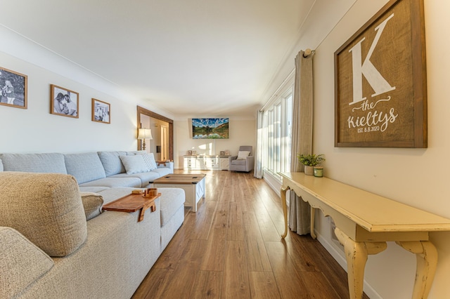 living room featuring wood-type flooring and ornamental molding