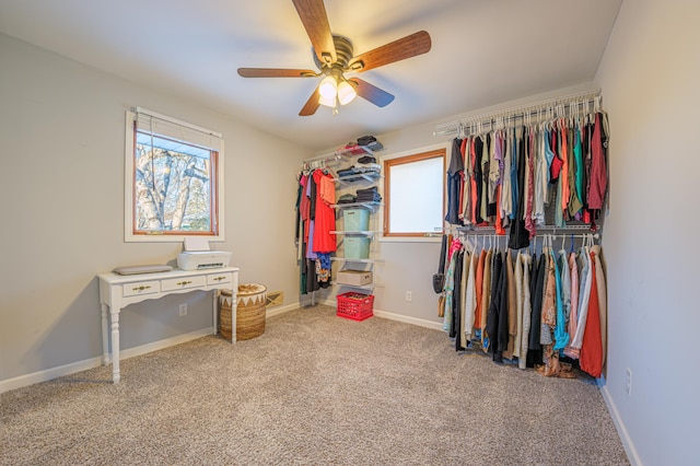 spacious closet with ceiling fan and carpet floors