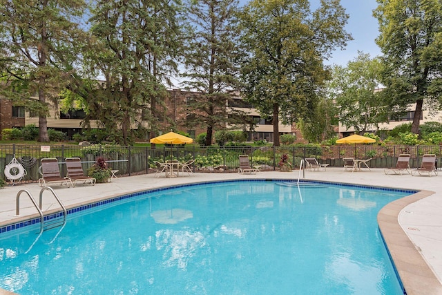 view of pool featuring a patio