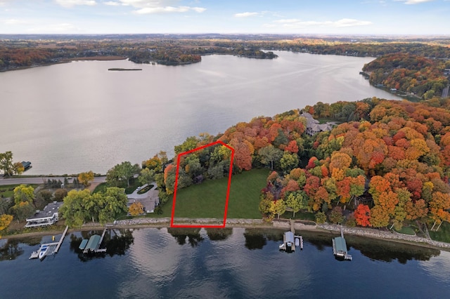 aerial view with a view of trees and a water view