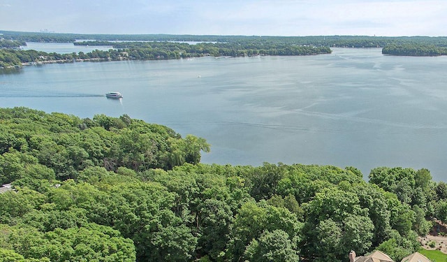 property view of water with a wooded view