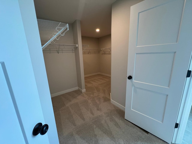 spacious closet featuring light carpet