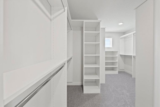 spacious closet featuring carpet flooring