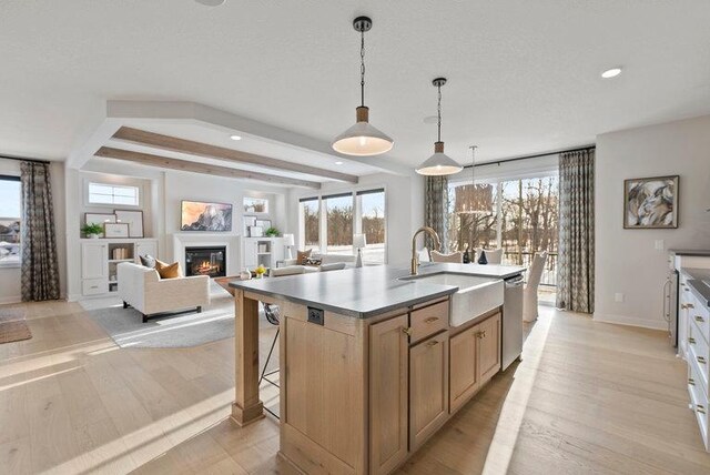 kitchen featuring a glass covered fireplace, a sink, light wood finished floors, and stainless steel dishwasher